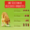 FRISKIES Crocchette per cani Vitafit Active al manzo