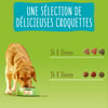 Friskies Vitafit Light au Poulet pour chien adulte