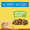 FRISKIES para gato de salmão e legumes