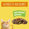 FRISKIES® Com Frango e Legumes