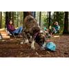 Giocattolo Gnawt-a-Rock per cani grandi di Ruffwear - diversi colori disponibili