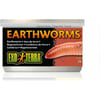 Regenwormen Exo Terra