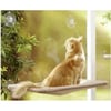 Fensterhängematte für Katzen : 33 cm x 54 cm