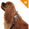 Coleira para cão Ecopetly da Zolia - vários tamanhos disponíveis