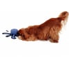 Brinquedo para cão Polvo sonoro Ecopetly da Zolia
