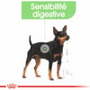 Royal Canin Digestive Care mousse pour chiens