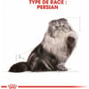 ROYAL CANIN Mousse Adult Persian
