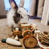 Brinquedo para animais roedores em madeira e corda Zolia