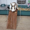 Ponte em madeira para animais roedores Zolia