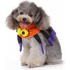 collier Halloween Araignée Zolia Festive pour chien