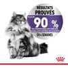 Royal Canin APPETITE CONTROL CARE Gelee-Bisse für übergewichtige Katzen
