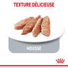 Royal Canin APPETITE CONTROL CARE in Mousse