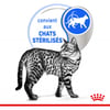 Royal Canin INDOOR 7+ Saquetas de Geleia Frescos para Gatos Seniores