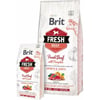 Brit Fresh mit frischem Rindfleisch und Kürbis für Welpen und junge Hunde großer Rassen
