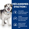 HILL'S Prescription Diet c/d Multicare + Metabolic para perros con sobrepeso