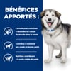HILL'S Prescription Diet Canine c/d Multicare + Metabolic für übergewichtige erwachsene Hunde