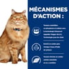 HILL'S Prescription Diet k/d + Mobility Kidney Care en sobres para gatos