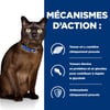 Hill's Prescription Diet m/d Diabetes boite au foie pour chat