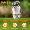 Iams Vitality Dog Small & Medium