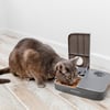 Dispensador de pienso automático gracias al temporizador para 2 comidas para perro/gato