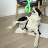 Brinquedo interactivo para cães - Bola com pega Zolia Strong