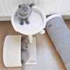 Tiragraffi per gatti con piattaforma - 45 cm - Zolia Jimi