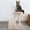 Árvore de gato com plataforma - 45 cm - Zolia Jimi
