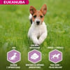 Eukanuba Puppy Small & Medium Breed agneau et riz pour chiot de petites et moyennes races