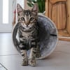 Túnel de jogo dobrável para gatos Zolia Sancho