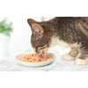 Sopa para gatos Catit Shreds