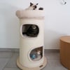 Kratzturm für Katzen - 84 cm - Zolia Donut