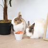 IAKO Chips für Kleintiere - Verschiedene Geschmacksrichtungen