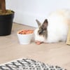IAKO Chips para animais roedores - Vários sabores