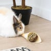 IAKO Guloseima em forma de cone para animais roedores - diferentes sabores