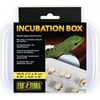 Exo Terra incubation box