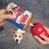 KONG Stuff'n con mantequilla de cacahuetes para perro