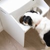 Orthopädische Hundebar mit Doppelnapf und Aufbewahrung Zolia Open bar