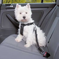 Arnês para transporte em carro de todas as raças de cães