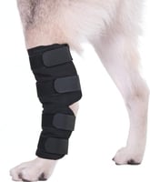 Par de talas para cão Zolia Orthopedic confortável em neopreno