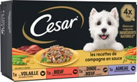 CESAR Les recettes de Campagne pâtée pour chien adulte en sauce barquettes 4 variétés