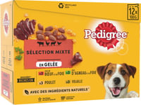 PEDIGREE Mega pack de comida húmeda en gelatina para perros - 4 sabores