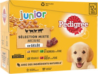 PEDIGREE Junior Pack de comida húmeda en gelatina para cachorros - 4 recetas