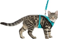 Trixie Pettorina Y rete con guinzaglio elastico per gatti