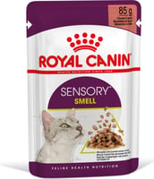 Royal Canin Sensory Smell Comida húmeda en salsa para gatos