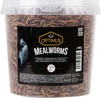 OPTIMUS Snack MealWorms Vermi di farina per cani
