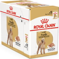 Royal Canin pâtée caniche adult