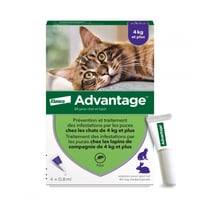 Advantage Pipetas anti-pulgas para gato e coelho Advantage