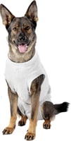 Body post opératoire Safety Body pour chien