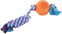 Brinquedo corda com bola de borracha dental para cão