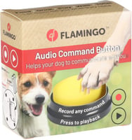 Jouet interactif bouton de communication pour chien